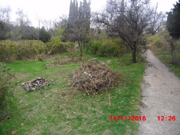 парк Ахматовой